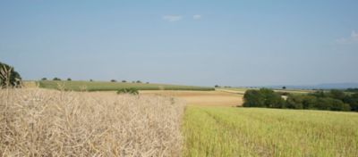 Article_Hero_Image_Runway_Desktop_hu_1024x450