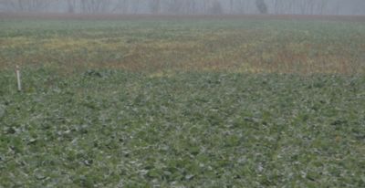 Article Image Runway 02