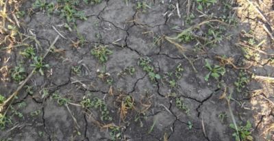 Article Image Runway 06