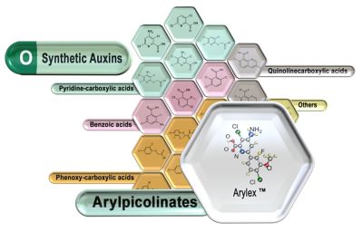 Arylex Active chemical class