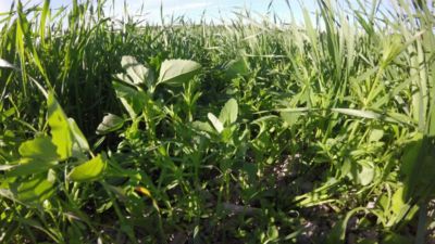 Timelapse, Arylex, Finland