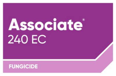 Logo_Associate® 240 EC