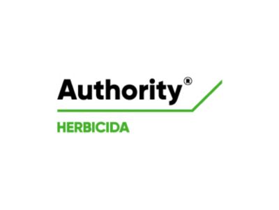 Logo de Authority