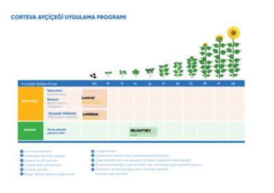 ayciceği-ilac-programi