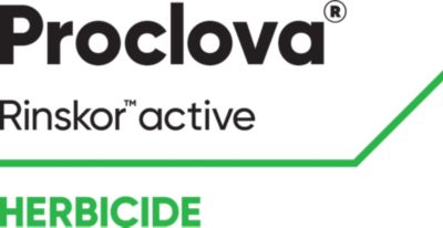 Proclova Logo