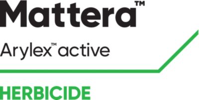 Mattera logo