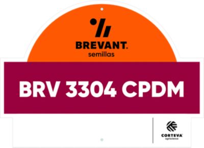 BRV_3304_CPDM