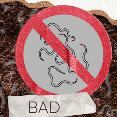 Bad Nematodes
