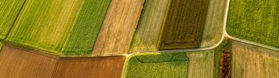 Découvrez notre gamme fongicides