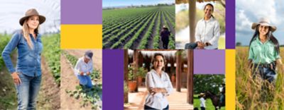 Talento para vacantes