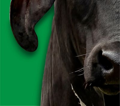 Protección de cultivos