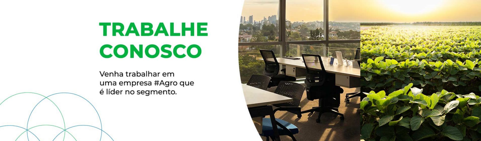 milho 360