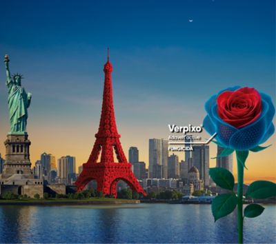 Protege hoy, prospera mañana