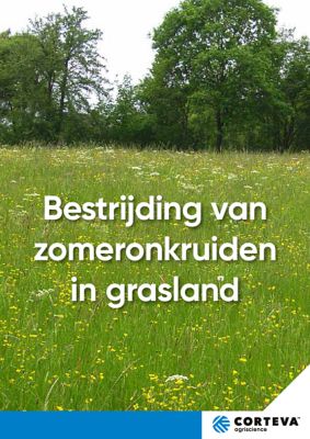 Zomeronkruiden in grasland