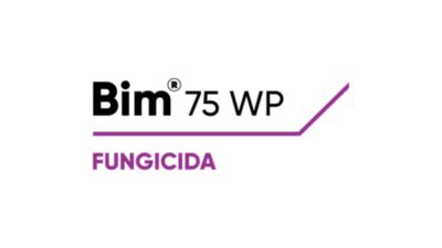  Bim 75 WP logo