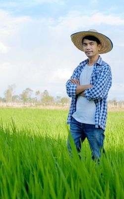 man-standing-on-a-rice-field