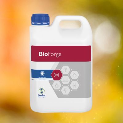 BioForge Packshot