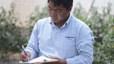 Fertirriego a la Medida