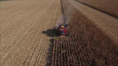 Blue N - Mode of action - DK.mp4