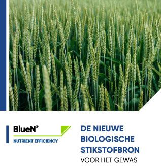 BlueN brochure MB