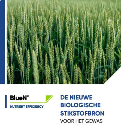 BlueN brochure DT