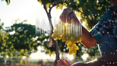 BlueN-COMMERCIAL VIDEO-Swedish.mp4