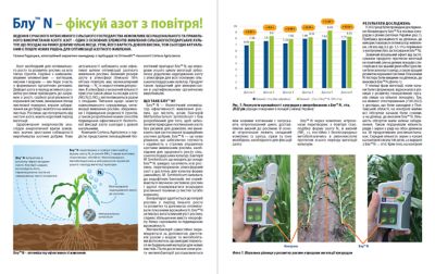 Blue_N_corn_Farmer-article