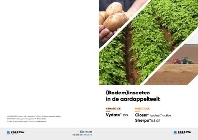 Bodeminsecten in de aardappelteelt