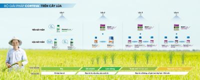 Bộ giải pháp Corteva trên cây lúa
