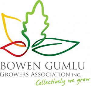 Bowen Gumlu Logo