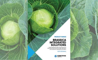 Brassica Integrated Solutions