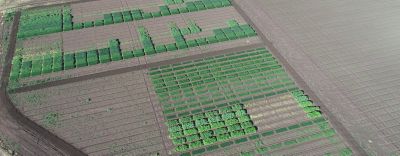 Breeza Research Station