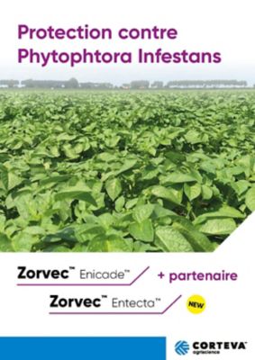Protection contre le midiou