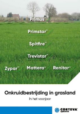 Grasland