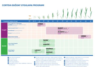 bugday-ilac-programi