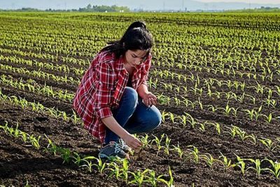 Where are the New Young Farmers?