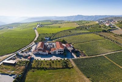 Agriculture Marketing