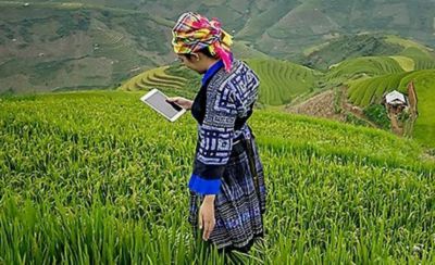 woman in field looking at phone