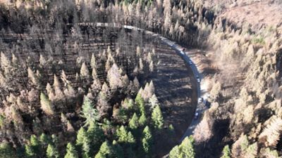 Roadside area burned in Park Fire.