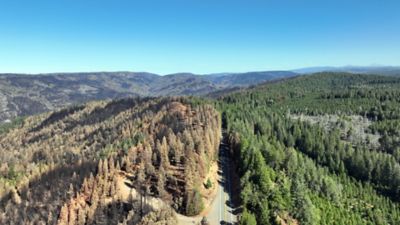 Burned forest area along Highway 32 (left). The fuel break stopped the fire from jumping the road (right).