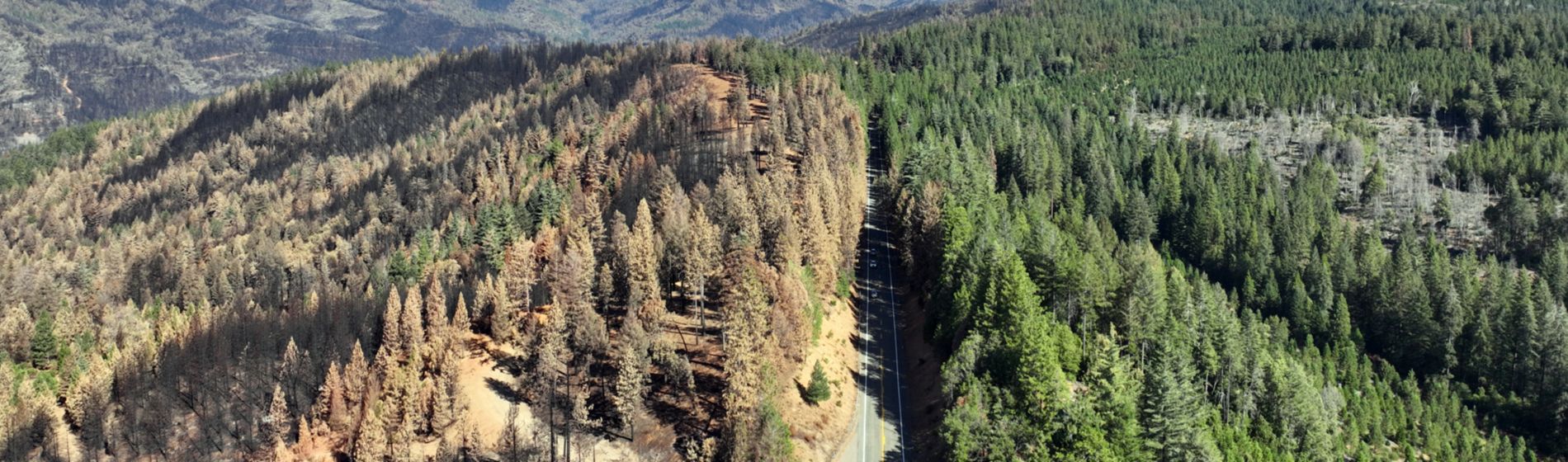 Overhead view of Park Fire aftermath with roadway through middle