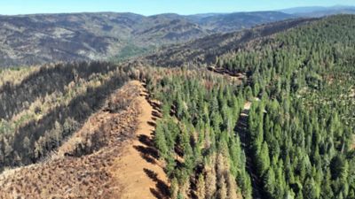The shaded fuel break (middle, left) prevented fire spread, leaving trees untouched on the other side of Highway 32.