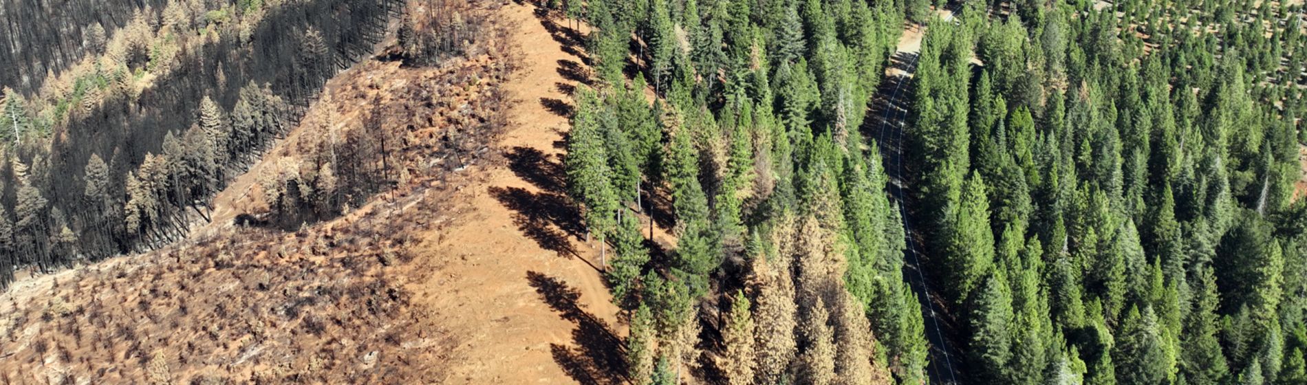 Wildfire break