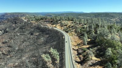 The Park Fire decimated the landscape seen on the left, while trees beyond the fuel break (right) remain untouched.