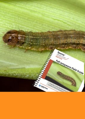 Fall Armyworm and field guide