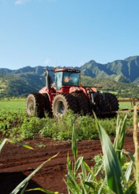 Experience History in Hawaii