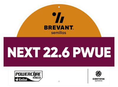 Cartel-5_next_226_logo_alt