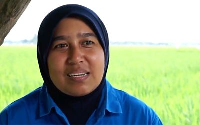 National Agronomy and Seeds Category Lead