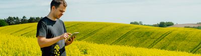 Clearfield® Canola
