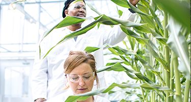 Collaborating with Corteva Agriscience